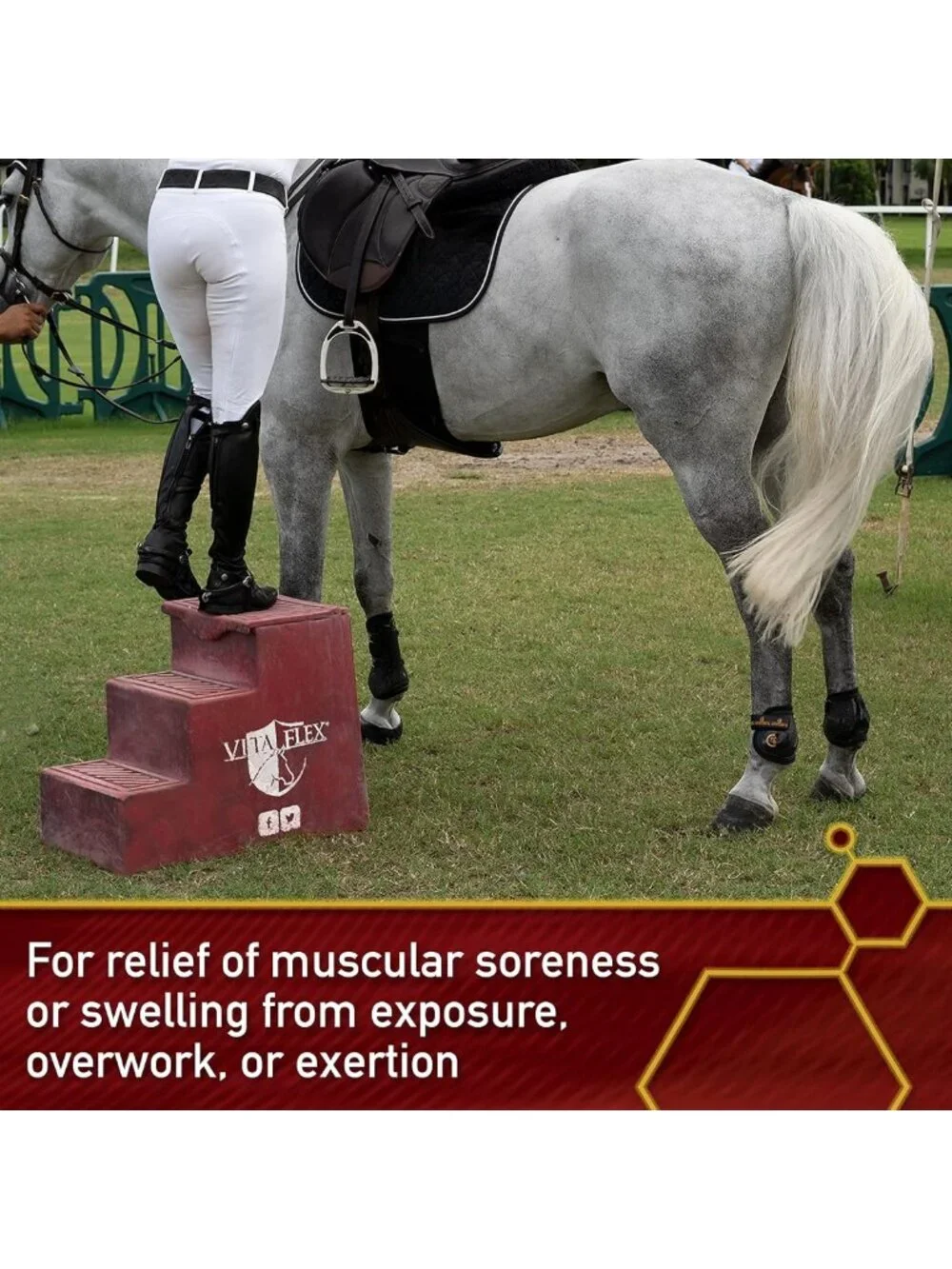 Sore Muscle & Joint Relief Gel for Horses - Thermaflex Liniment, 12 Oz.